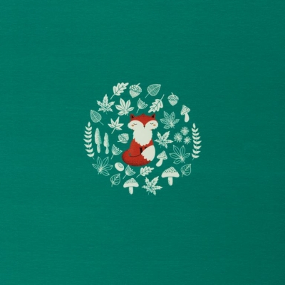Jersey "My little Foxy" Panel | rosa, blau, mint